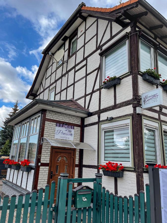 Pension Lavendel Harztor Buitenkant foto