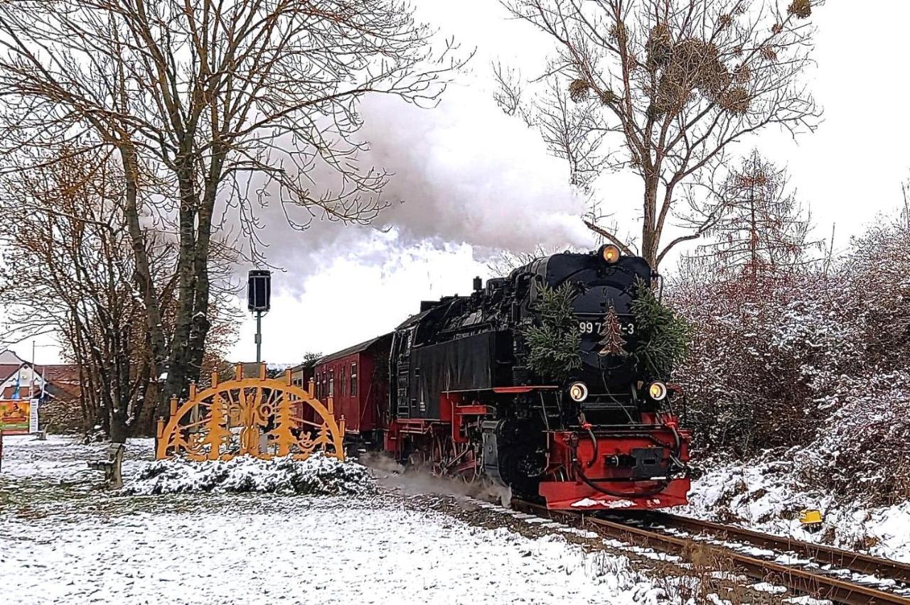 Pension Lavendel Harztor Buitenkant foto